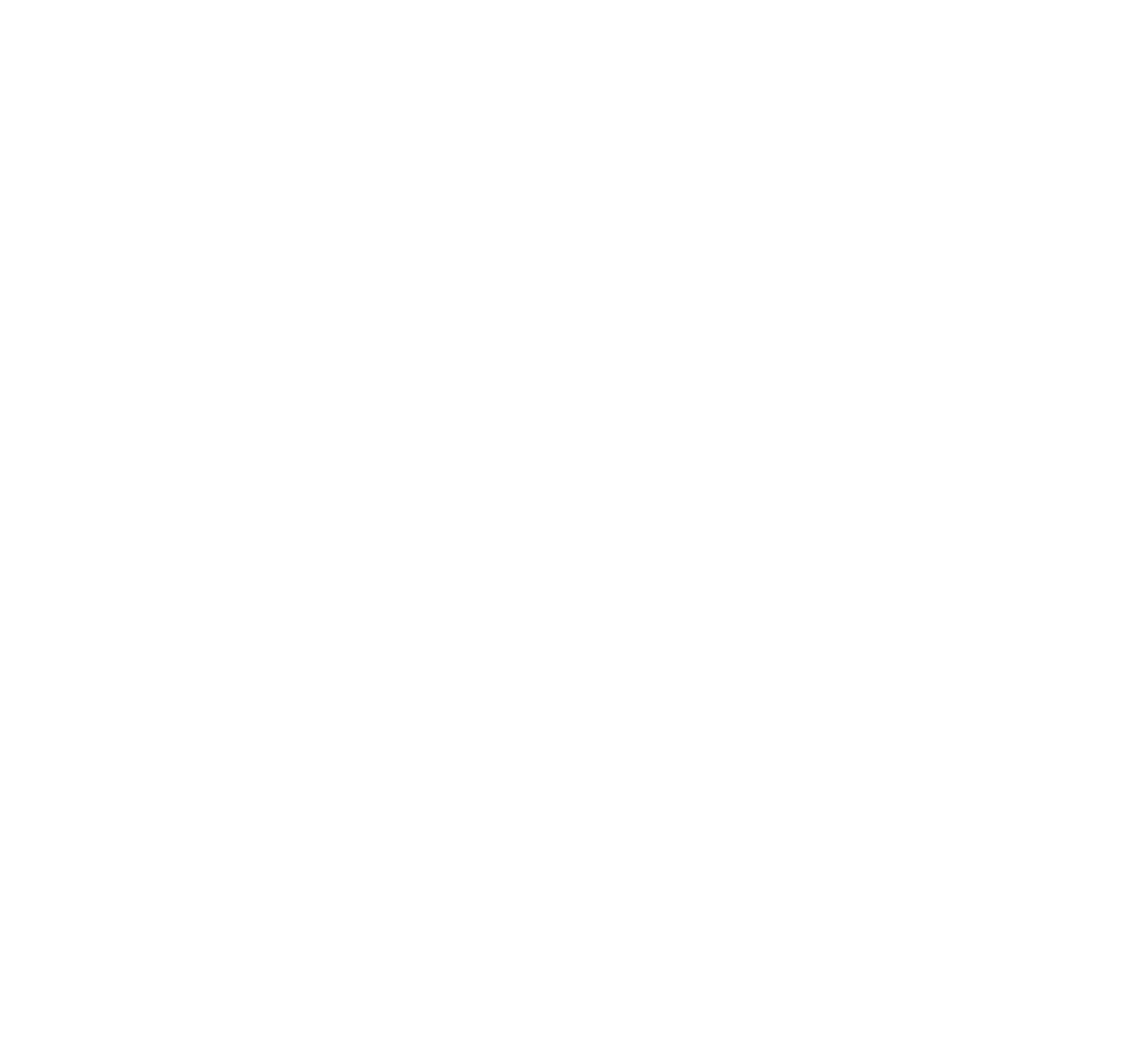 CCPIT Logo